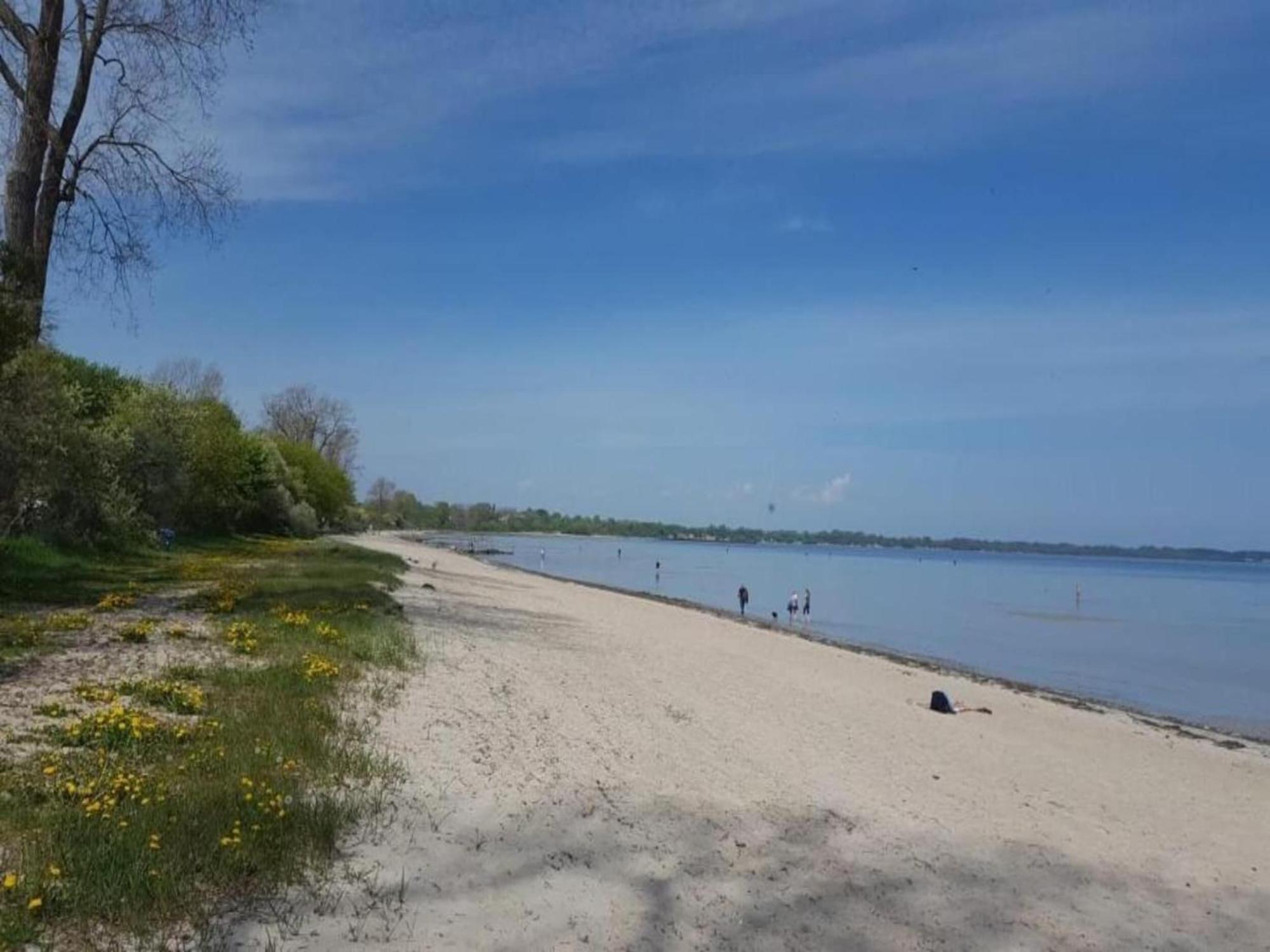 Strandhaus An Der Wohlenberger Wiek In Strandlage Hohenkirchen  外观 照片